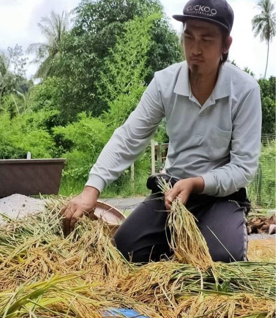Ismail Mahamad Hakimi